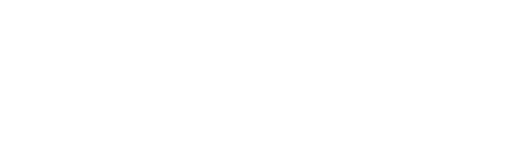 Logo party